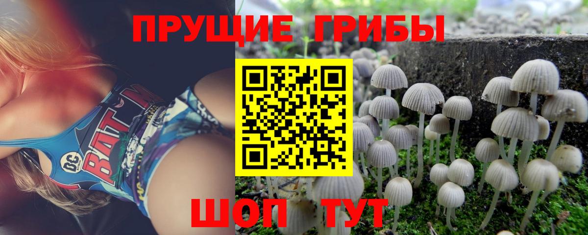 Галлюциногенные грибы GOLDEN TEACHER  Вход с VPN  Петропавловск-Камчатский 